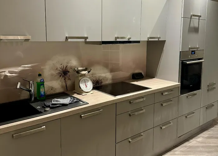 Apartmenthaus Burkhardt Alojamento de Acomodação e Pequeno-almoço Meißen